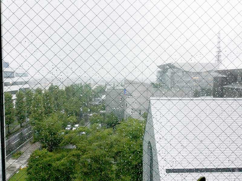 雨