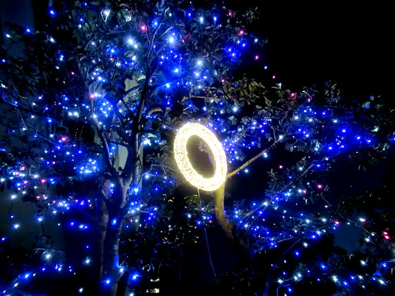 リース